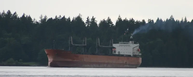 DALIAN STAR D Bulk Carrier IMO 9324148 photo 8