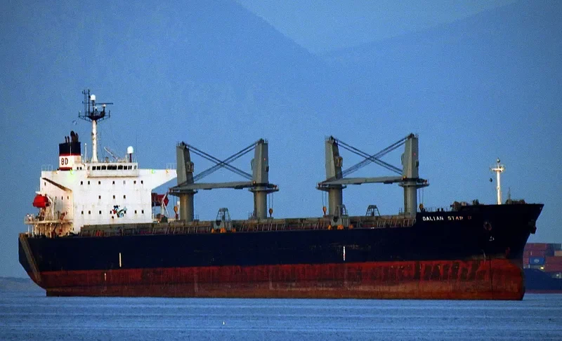 DALIAN STAR D Bulk Carrier IMO 9324148 photo 10