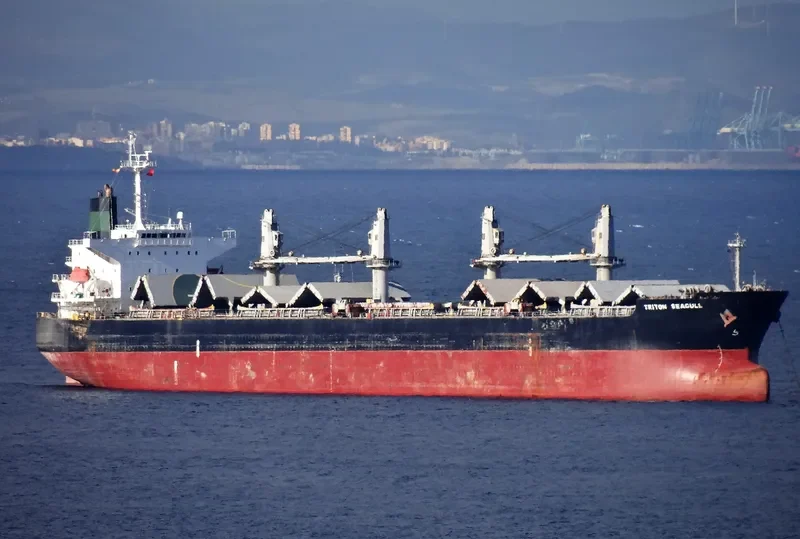 JENNY M Bulk Carrier IMO 9324150 photo 2