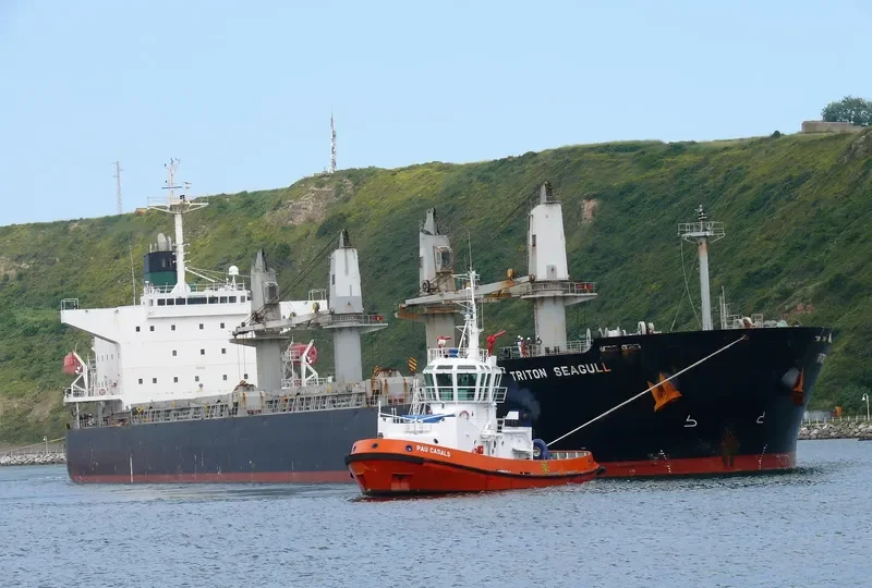 JENNY M Bulk Carrier IMO 9324150 photo 3