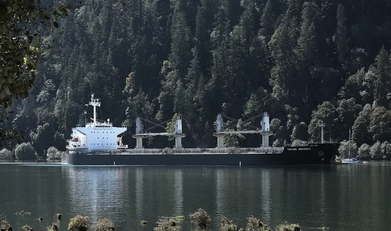 JENNY M Bulk Carrier IMO 9324150 photo 8