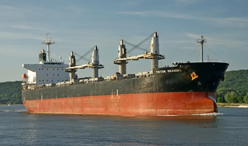 JENNY M Bulk Carrier IMO 9324150 photo 10