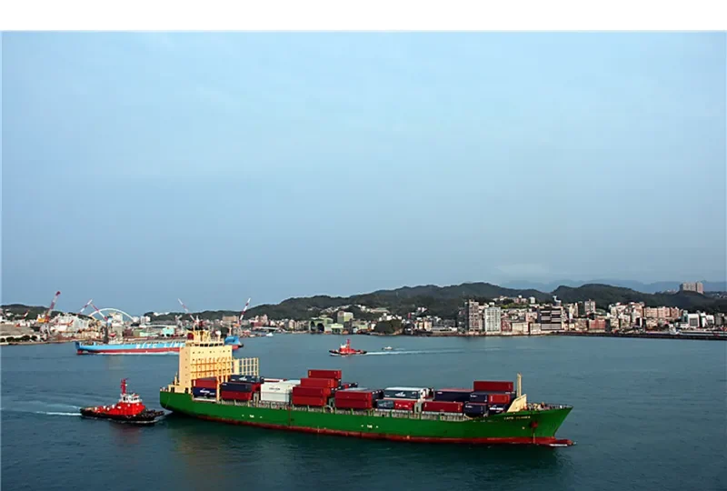 CAPE FLORES Container Ship IMO 9324162