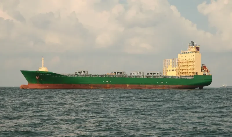 CAPE FLORES Container Ship IMO 9324162 photo 6