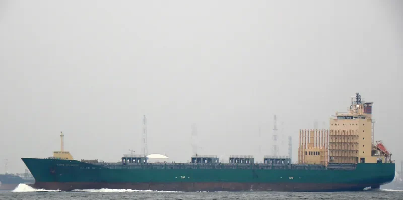 CAPE FLORES Container Ship IMO 9324162 photo 8