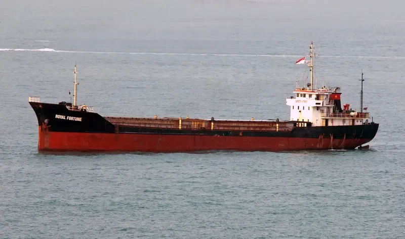 ROYAL FORTUNE General Cargo IMO 9324203 photo 2