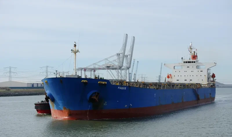 SHAIL AL DUKHAN Bulk Carrier IMO 9324239 photo 3