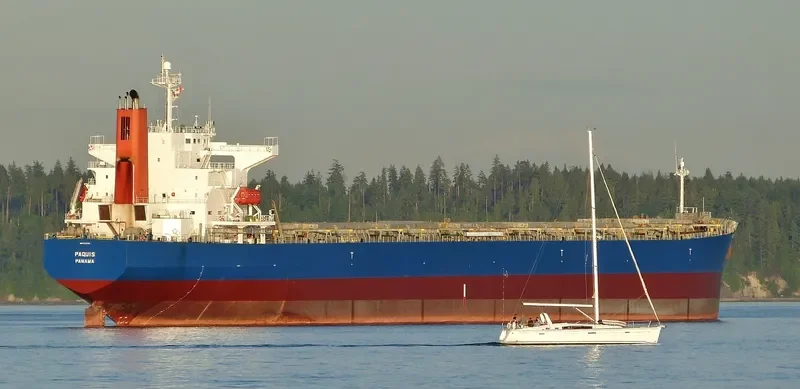 SHAIL AL DUKHAN Bulk Carrier IMO 9324239 photo 5