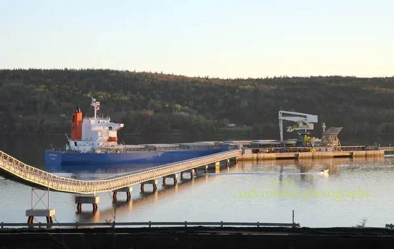 SHAIL AL DUKHAN Bulk Carrier IMO 9324239 photo 10
