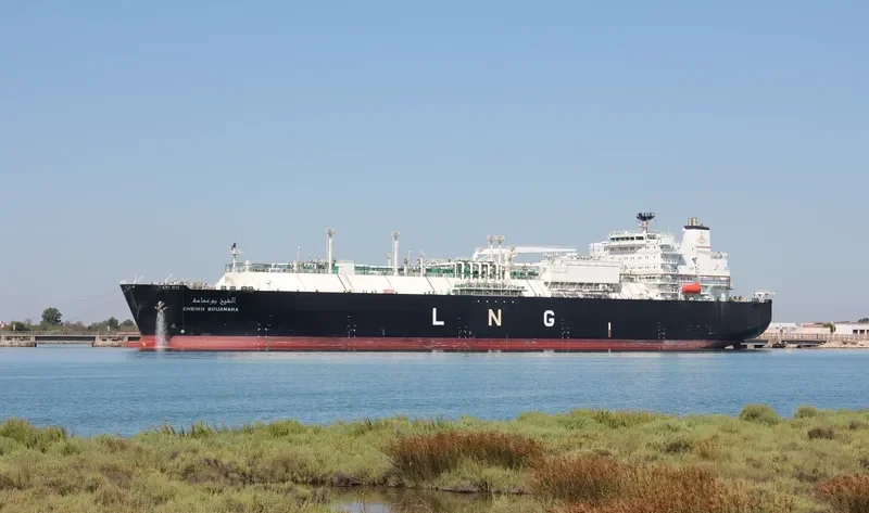CHEIKH BOUAMAMA General Cargo IMO 9324344 photo 2