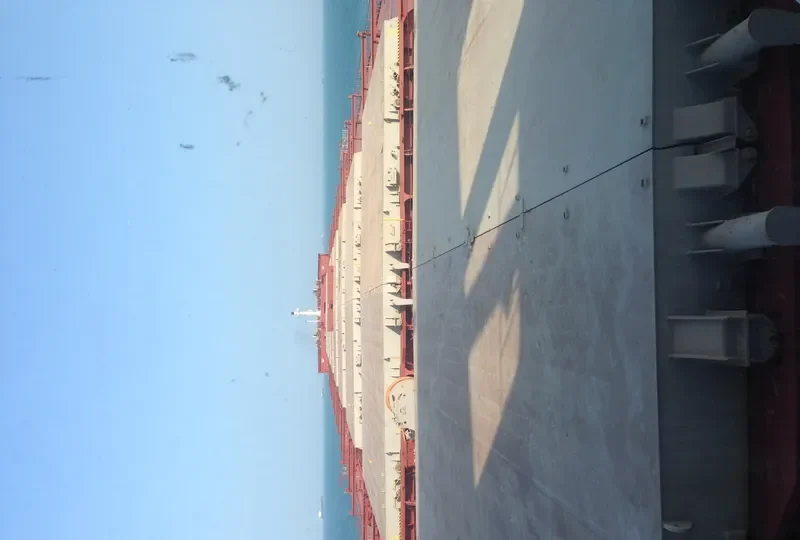 YASA DREAM Bulk Carrier IMO 9324461 photo 2