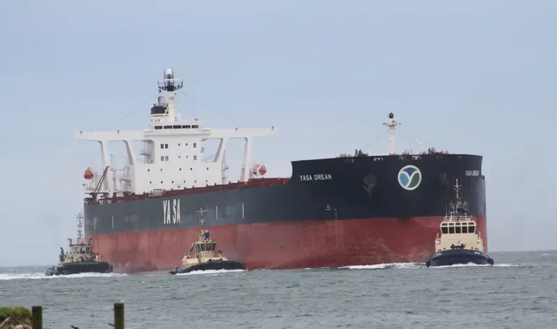 YASA DREAM Bulk Carrier IMO 9324461 photo 4