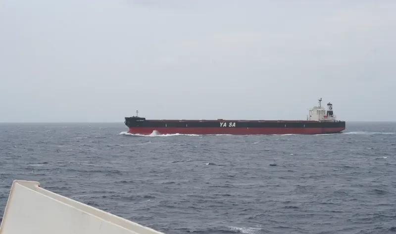 YASA DREAM Bulk Carrier IMO 9324461 photo 5
