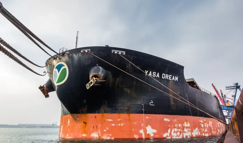 YASA DREAM Bulk Carrier IMO 9324461 photo 8