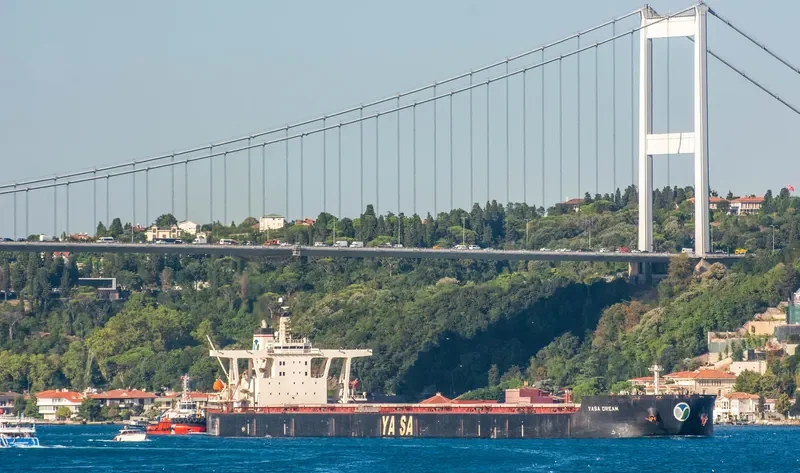 YASA DREAM Bulk Carrier IMO 9324461 photo 9
