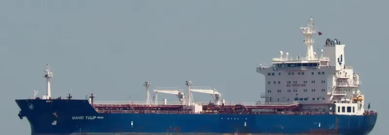 BAHRI TULIP Tanker IMO 9324497