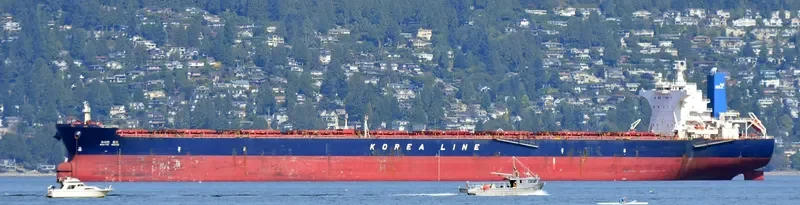 WHITE ROSE Bulk Carrier IMO 9324502