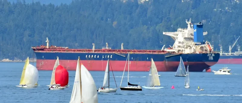 WHITE ROSE Bulk Carrier IMO 9324502 photo 2