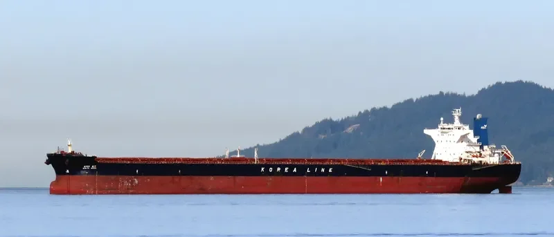 WHITE ROSE Bulk Carrier IMO 9324502 photo 3