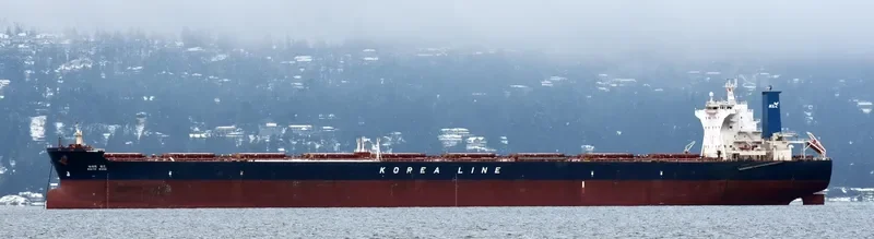 WHITE ROSE Bulk Carrier IMO 9324502 photo 5