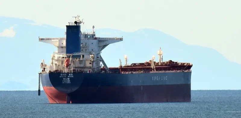 WHITE ROSE Bulk Carrier IMO 9324502 photo 6