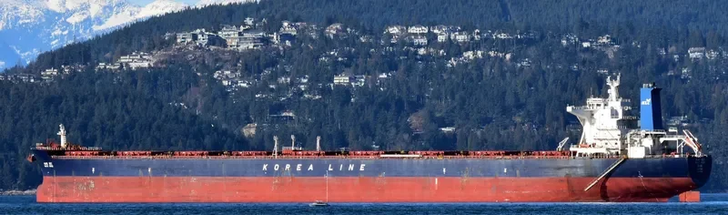 WHITE ROSE Bulk Carrier IMO 9324502 photo 7