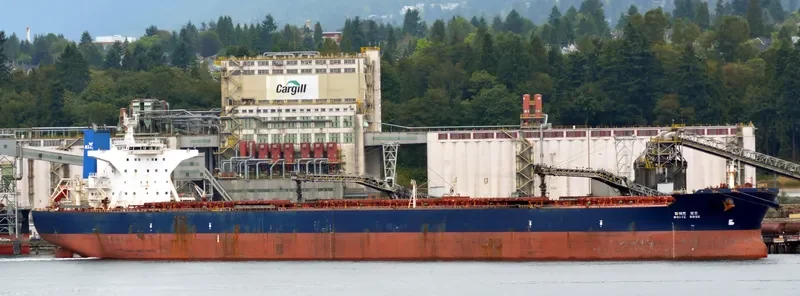 WHITE ROSE Bulk Carrier IMO 9324502 photo 8