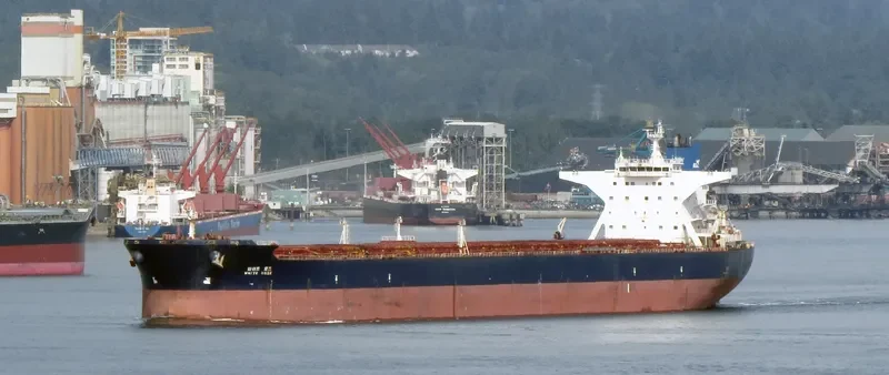 WHITE ROSE Bulk Carrier IMO 9324502 photo 9