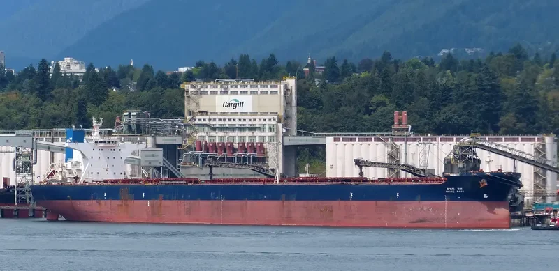 WHITE ROSE Bulk Carrier IMO 9324502 photo 10