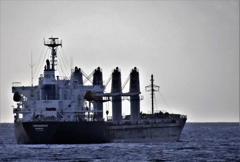 COURAGEOUS Bulk Carrier IMO 9324617 photo 2