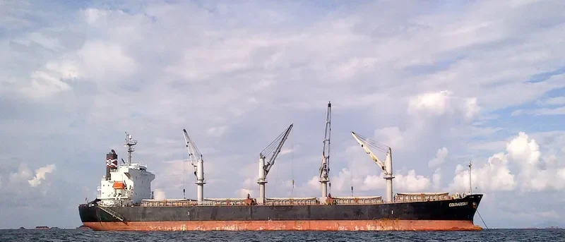 COURAGEOUS Bulk Carrier IMO 9324617 photo 5