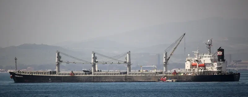 COURAGEOUS Bulk Carrier IMO 9324617 photo 7