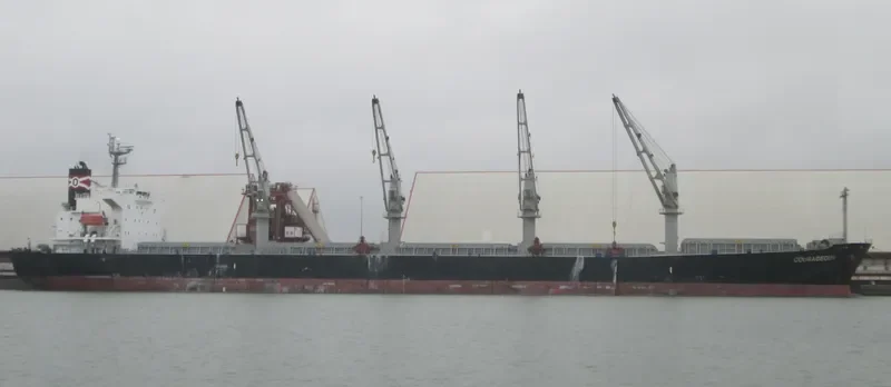 COURAGEOUS Bulk Carrier IMO 9324617 photo 9