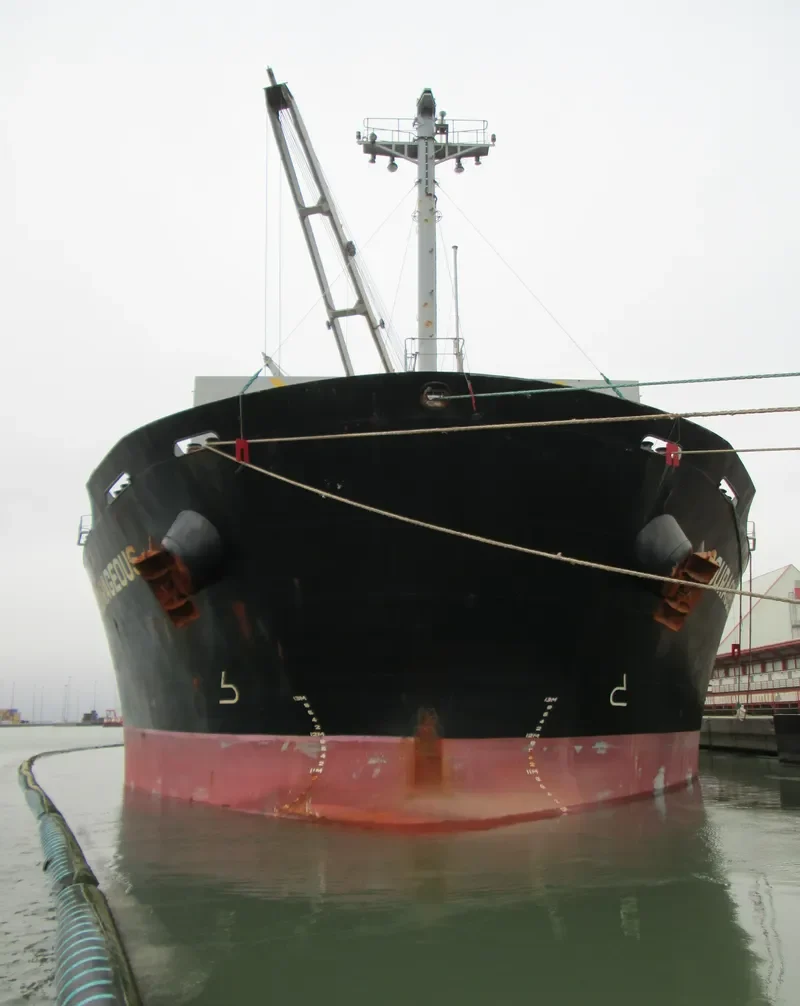 COURAGEOUS Bulk Carrier IMO 9324617 photo 10