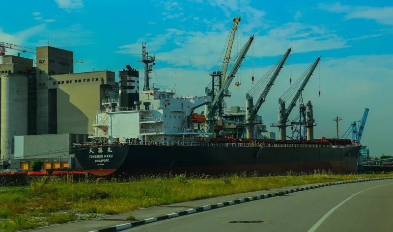 JAG ROHAN Bulk Carrier IMO 9324631 photo 3