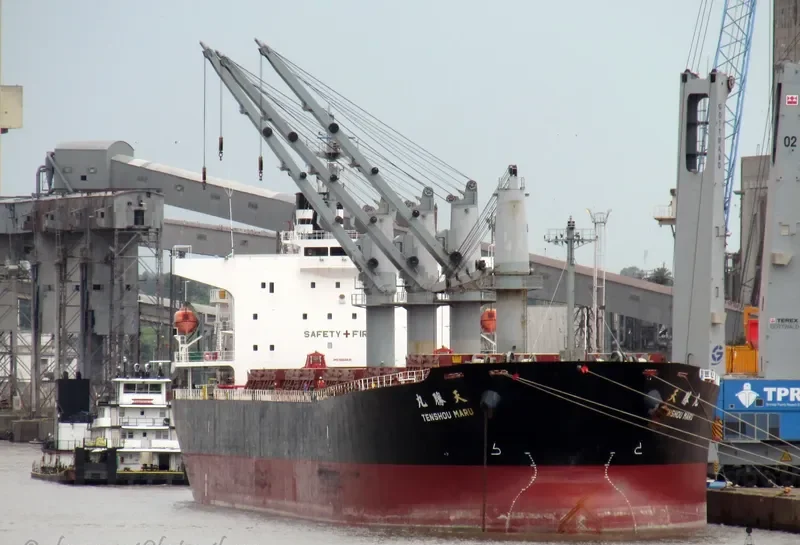 JAG ROHAN Bulk Carrier IMO 9324631 photo 4