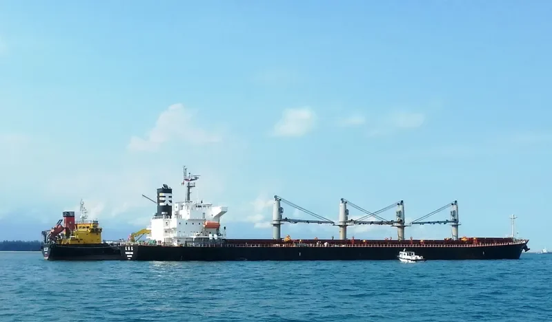 JAG ROHAN Bulk Carrier IMO 9324631 photo 5