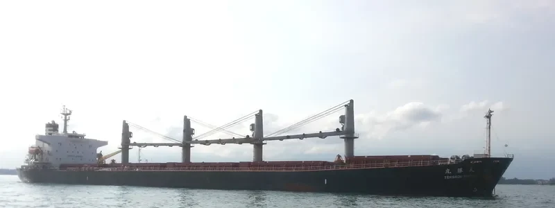 JAG ROHAN Bulk Carrier IMO 9324631 photo 6