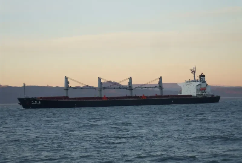 JAG ROHAN Bulk Carrier IMO 9324631 photo 10