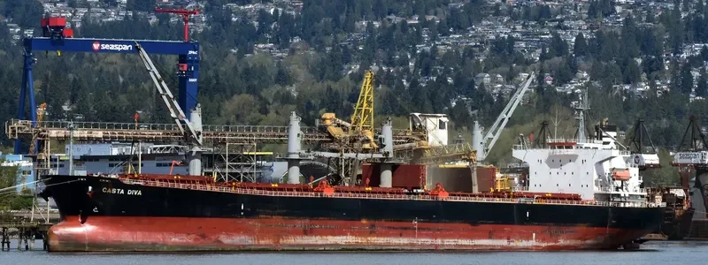DIVA EVA Bulk Carrier IMO 9324643 photo 4