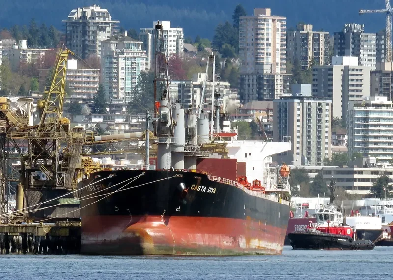 DIVA EVA Bulk Carrier IMO 9324643 photo 6