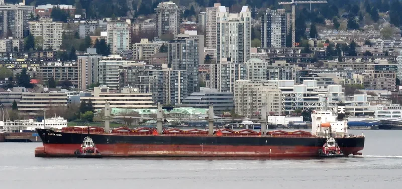 DIVA EVA Bulk Carrier IMO 9324643 photo 7