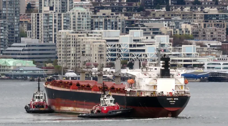 DIVA EVA Bulk Carrier IMO 9324643 photo 8