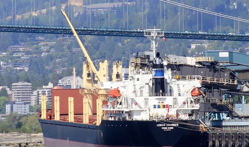 NADEEN Bulk Carrier IMO 9324710