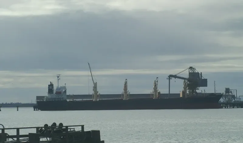 NADEEN Bulk Carrier IMO 9324710 photo 2