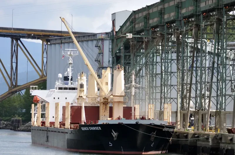 NADEEN Bulk Carrier IMO 9324710 photo 4