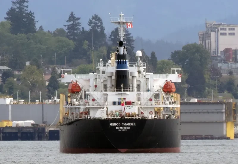 NADEEN Bulk Carrier IMO 9324710 photo 6