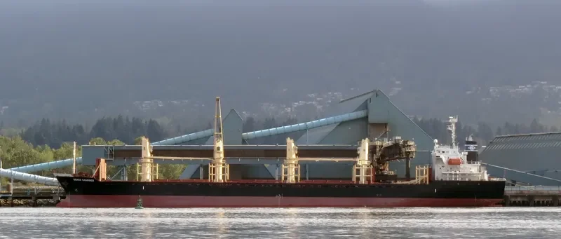 NADEEN Bulk Carrier IMO 9324710 photo 7