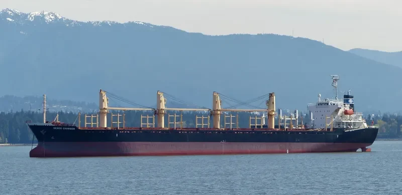 NADEEN Bulk Carrier IMO 9324710 photo 8