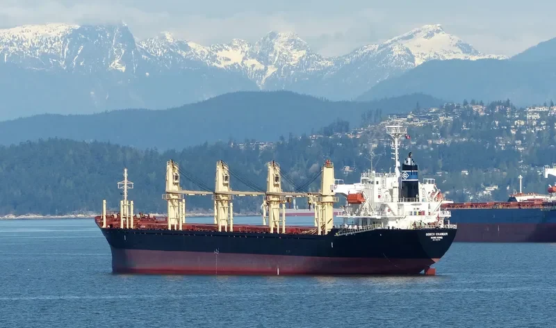 NADEEN Bulk Carrier IMO 9324710 photo 9